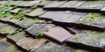 Broomgrove roof repair costs